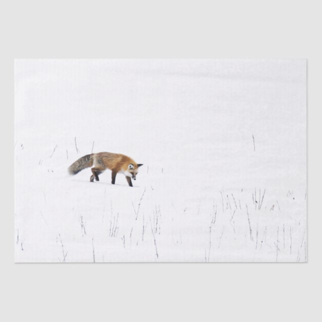 FOX ROJA EN PAPEL DE TEJIDO DE NIEVE (Anverso)
