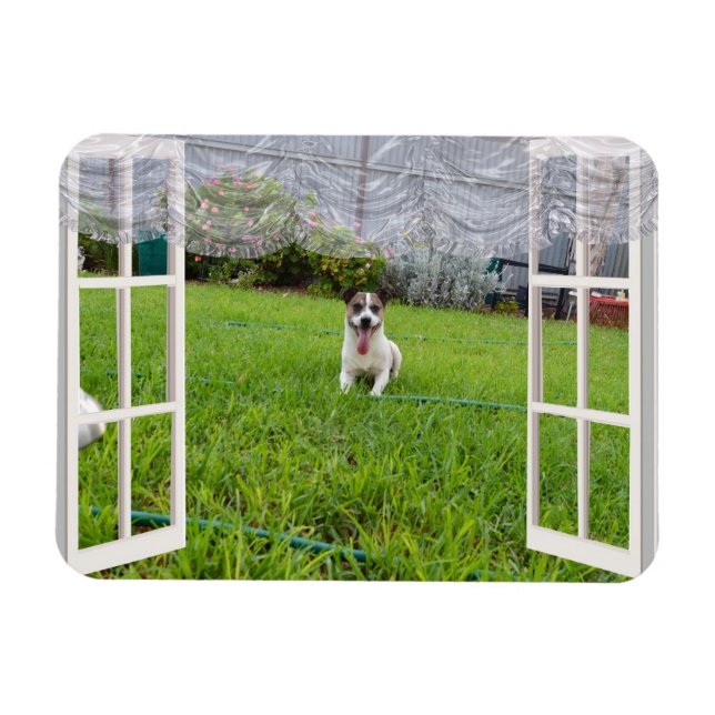 Fox Terrier Come Play, Imán Flexible (Horizontal)