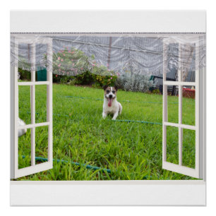 Fox Terrier Come Play, Poster