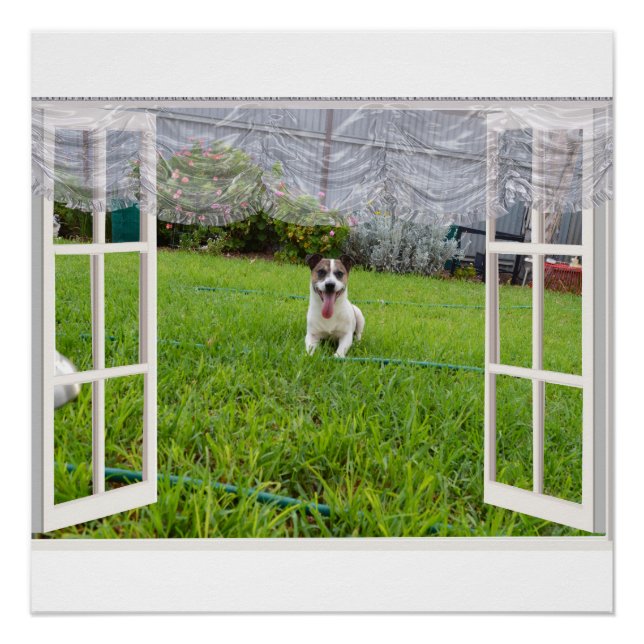 Fox Terrier Come Play, Poster (Anverso)