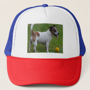 Fox Terrier Con Su Bolla Amarilla, Sombrero Camion