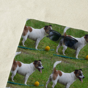 Fox Terrier Con Su Bolla Amarilla, Toalla De Playa