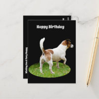 Fox Terrier de Guardia, Tarjeta de Cumpleaños