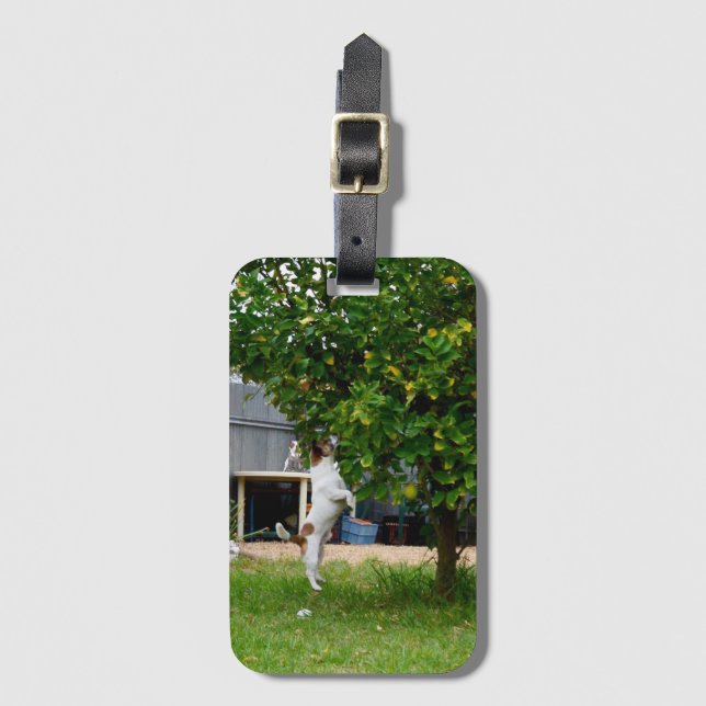 Fox Terrier El Salto, Etiqueta De Equipaje (Anverso vertical)