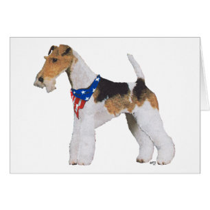 Fox Terrier Patriótico de Pelo de Alambre