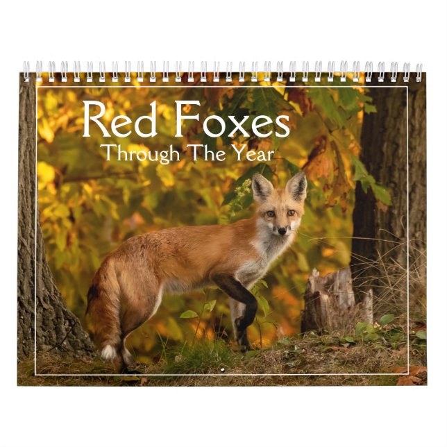 Foxes rojos a través del calendario del año (Tapa)