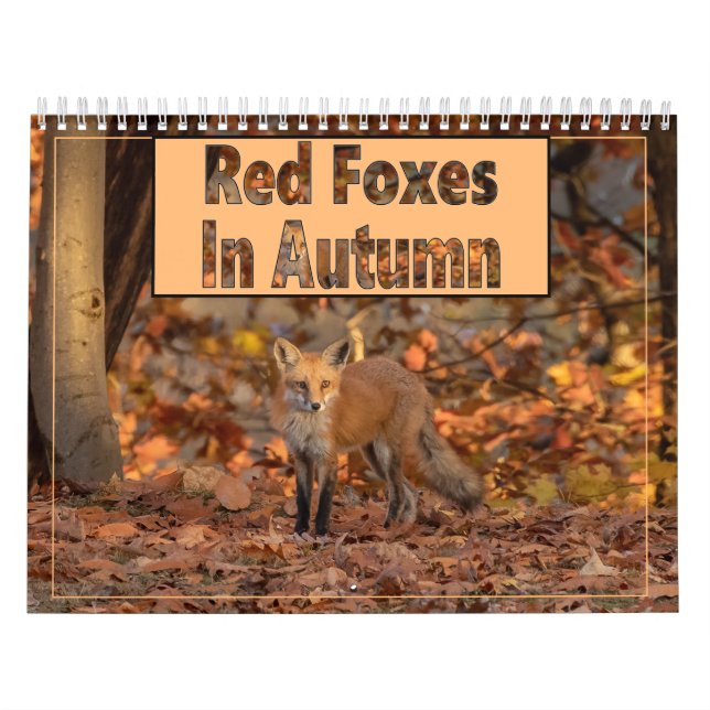 Foxes Rojos En El Calendario De Otoño (Tapa)