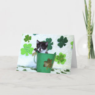 Foxi Moxi - Tarjeta para el Día del Gato / Gatito 