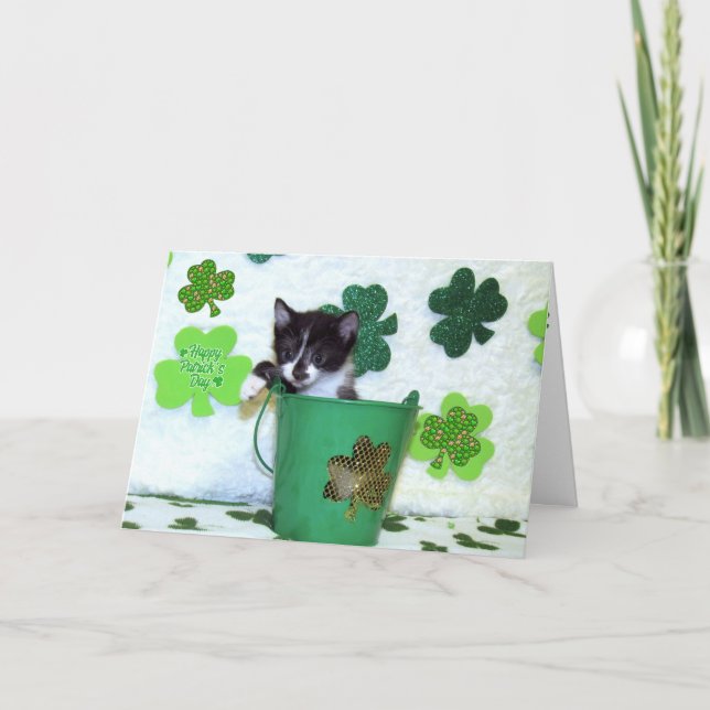 Foxi Moxi - Tarjeta para el Día del Gato / Gatito  (Anverso)