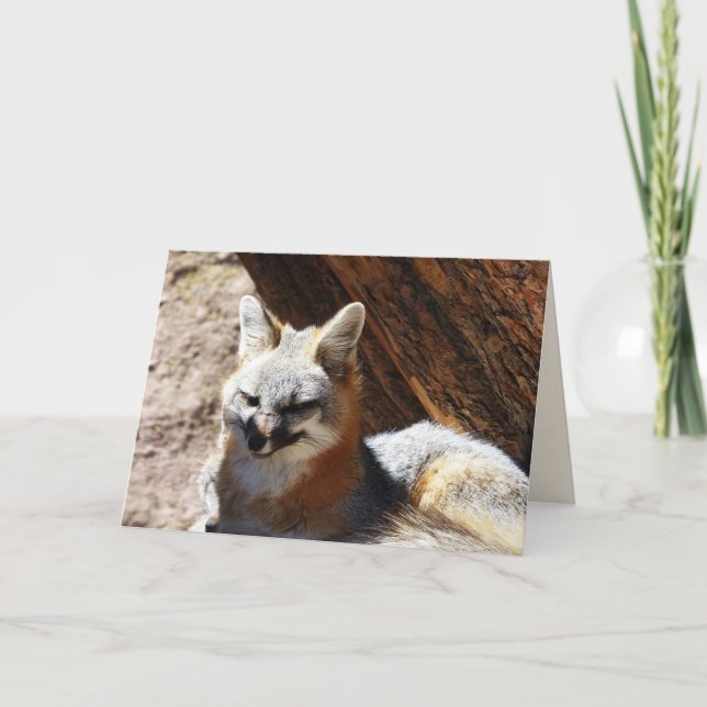 Foxy, tarjeta de felicitación en blanco (Anverso)