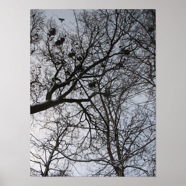 Fractales en la naturaleza: arte Poster de Crows (Frente)