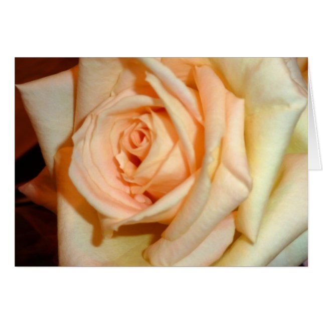 Fragancia (Anverso (Horizontal))