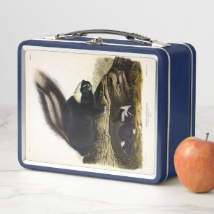 Fragmento común estadounidense o zorrillo a rayas,