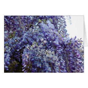 Fragrancia en azul