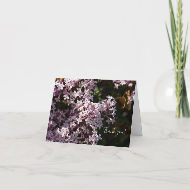 Fragrant Lilac Tarjeta de agradecimiento (Anverso)