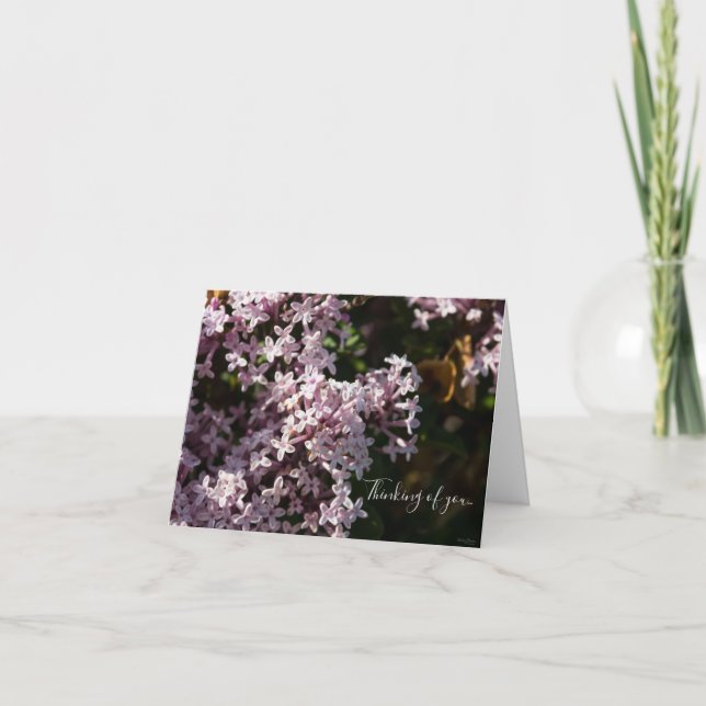 Fragrante Lilac Pensando En Tu Tarjeta (Anverso)