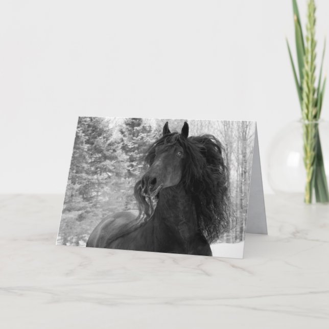 Frailes en la tarjeta de felicitación de caballos  (Anverso)