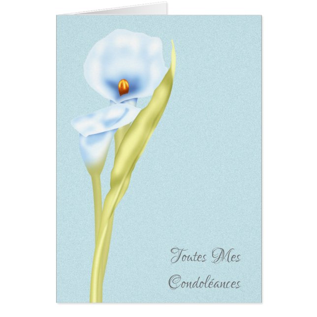 Francés de Toutes Mes Condoleances indicado (Frente)