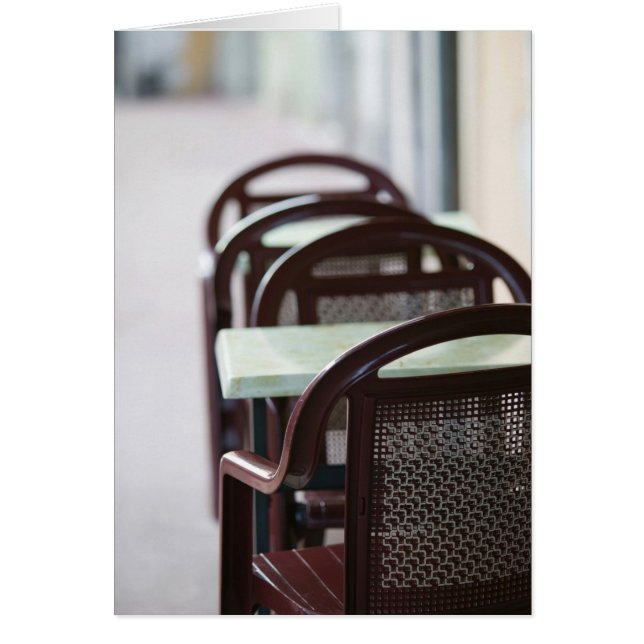 FRANCIA, Alpes franceses (Alta Saboya), ANNECY: (Frente)