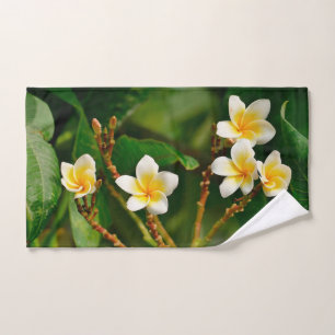 Frangipani amarillo