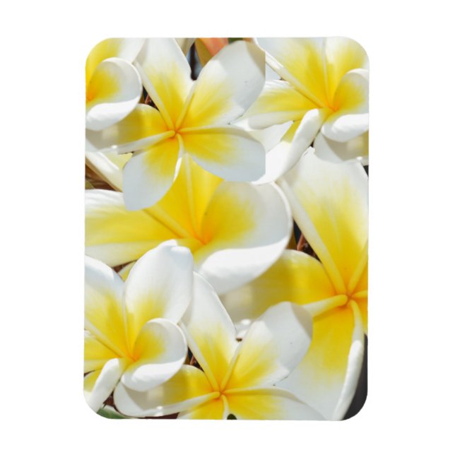 Frangipani Bouquet, imán flexible (Vertical)