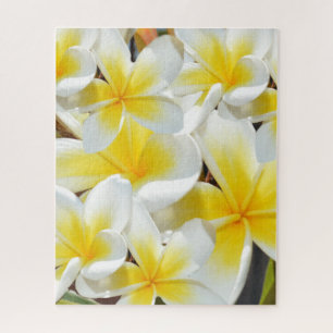 Frangipani Bouquet, rompecabezas de Jigsaw