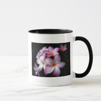 Frangipani en taza de la floración