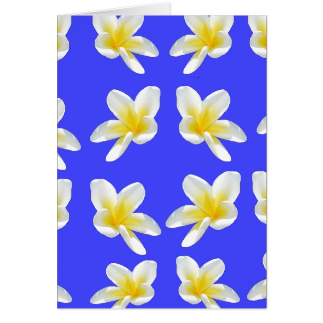 Frangipani_Essece_Of_Simmer (Frente)