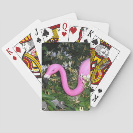 Frank el Flamenco Jugando Cartas