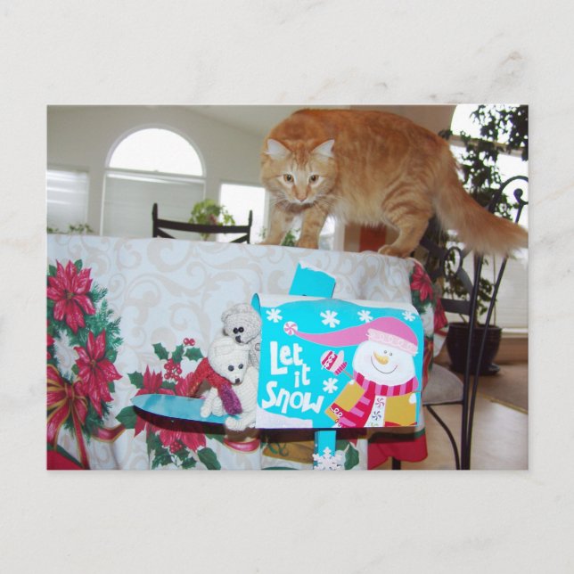 Frank&Leo: ¿Viste al gato? postal (Anverso)