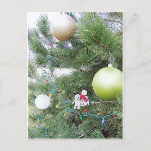 Franscious y postal del árbol de navidad de (Anverso)