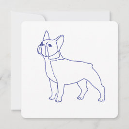 Französische Bulldogge