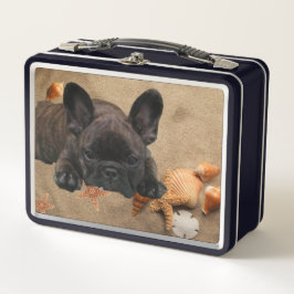 Französische Bulldogge am Strand French Bulldog