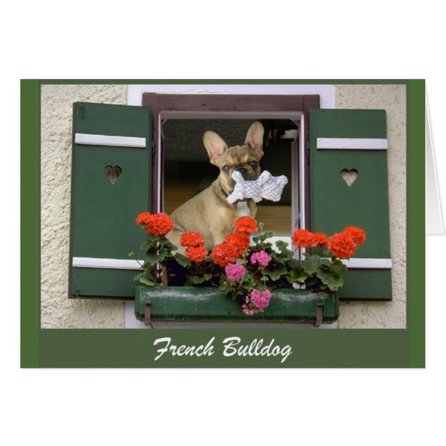 Französische Bulldogge Grußkarte (Anverso (Horizontal))