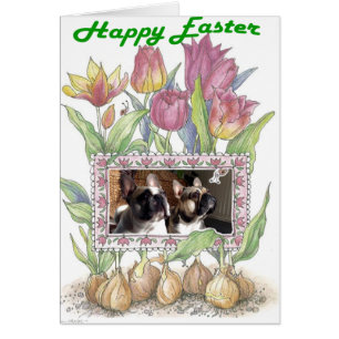 Französische Bulldogge Grußkarte Ostern