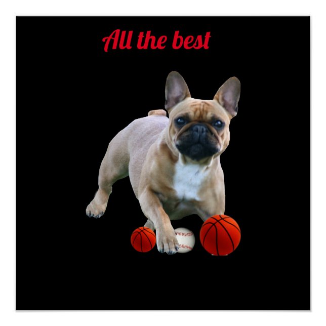 Französische Bulldogge Poster (Anverso)