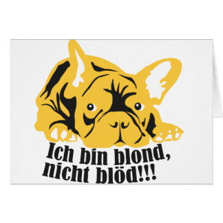 Französische Bulldogge: ¡Rubio!