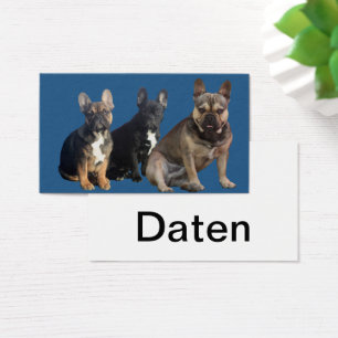 Französische Bulldoggen Visitenkarten
