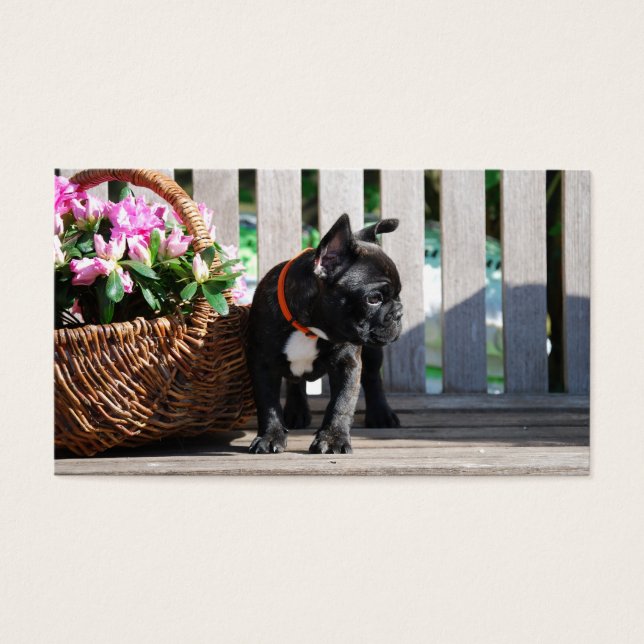 Französische Bulldoggen Visitenkarten (Frente)