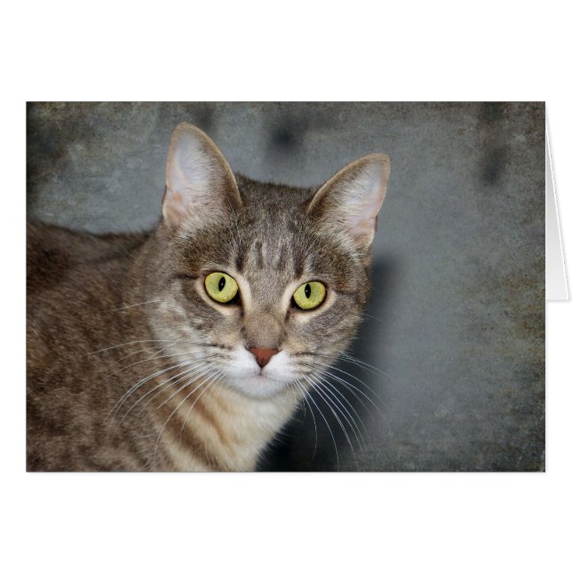 Fred (Anverso (Horizontal))