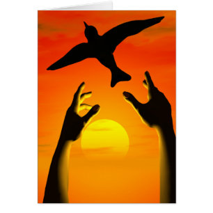 Freedom