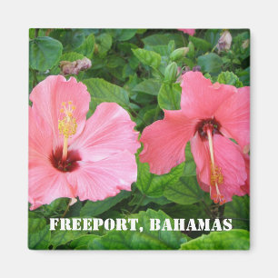 Freeport, imán de Bahamas