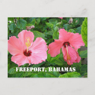 Freeport, postal de Bahamas