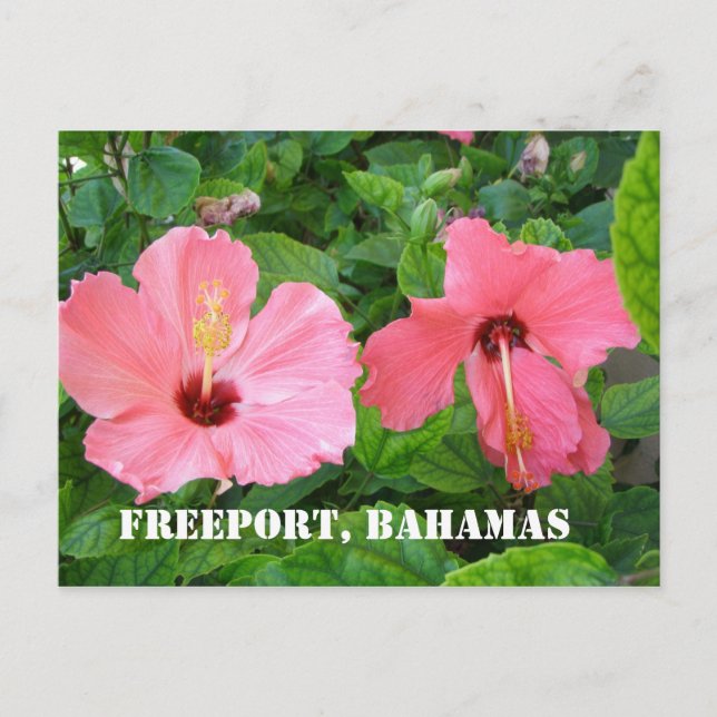 Freeport, postal de Bahamas (Anverso)