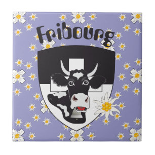 Freiburg Fribourg Suiza Suisse baldosa