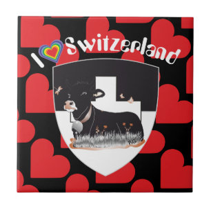 Freiburg Fribourg Suiza Suisse baldosa