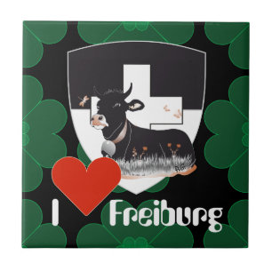Freiburg Fribourg Suiza Suisse baldosa
