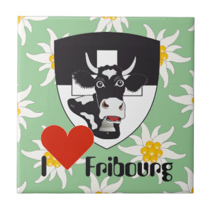 Freiburg Fribourg Suiza Suisse baldosa
