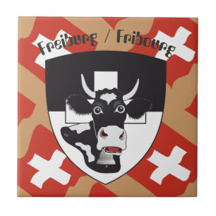 Freiburg Fribourg Suiza Suisse baldosa