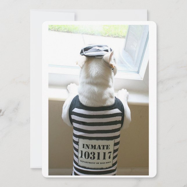 Frenchie Jailbird Tarjeta de cumpleaños feliz (Anverso)
